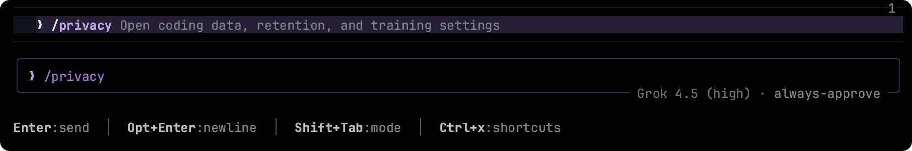 Grok Build 使用教程(16):开启隐私模式,保护你的数据安全!